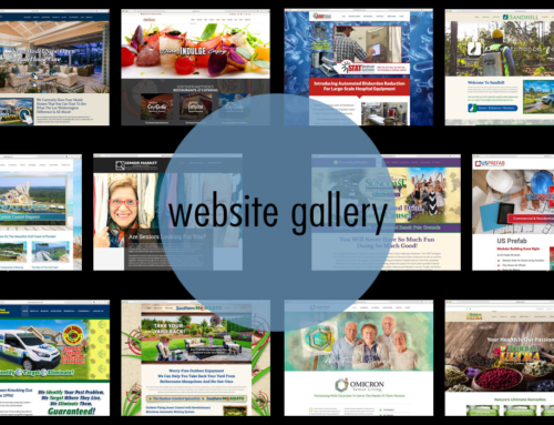 Web Projects Gallery
